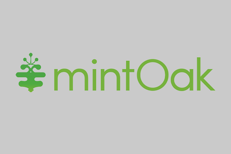 Logotipo de Mintoak